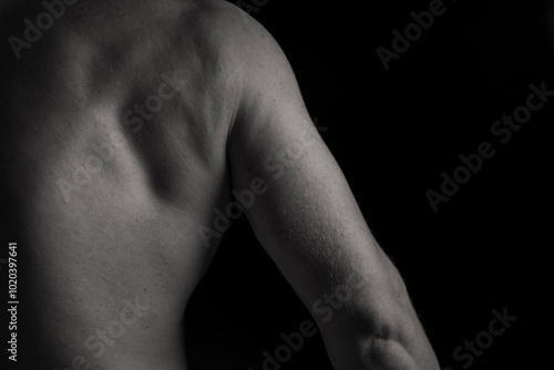 Obraz na plátně Perfect shoulders and back muscles. Dramatic light