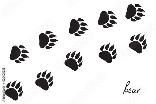 Bear paw prints. Hand drawn black animal foot print for wildlife forest background wallpaper. Flat vector illustration in doodle style on reserve, zoo theme. Vector