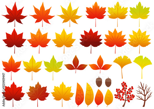 紅葉をイメージした落ち葉や木の実のイラストのセット

