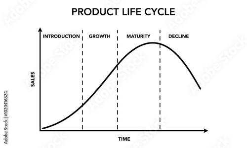 A product or business lifecycle typically consists of four stages: introduction, growth, maturity, and decline. Understanding these stages is crucial for developing effective marketing strategies.