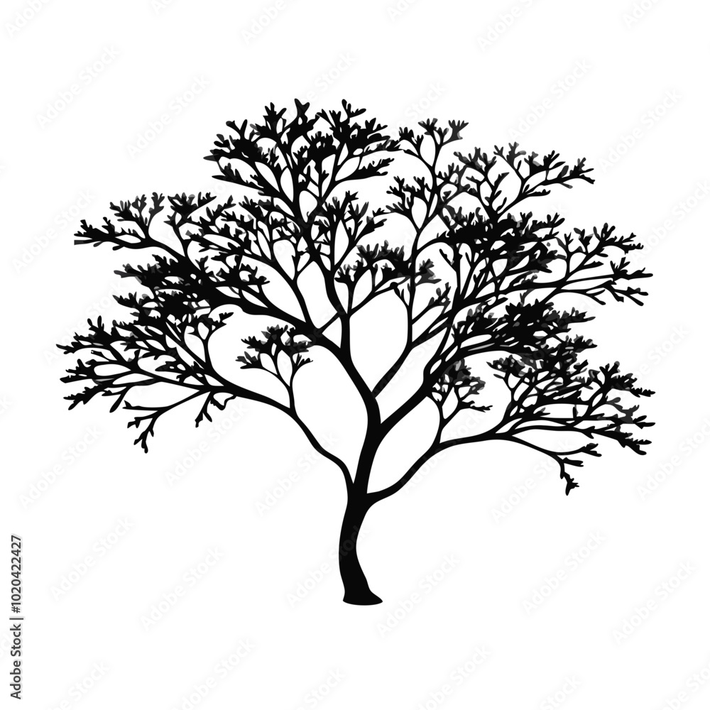 Fototapeta premium mastic-tree--silhouette