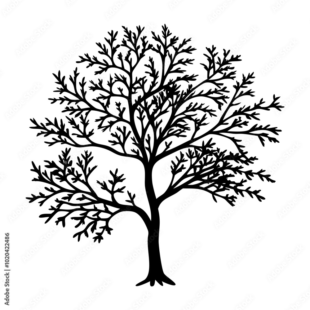 mountain-ash-tree-silhouette mountain-ash-tree-silhouette