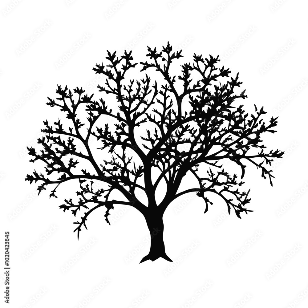 Obraz premium laurel-cherry-tree-silhouette