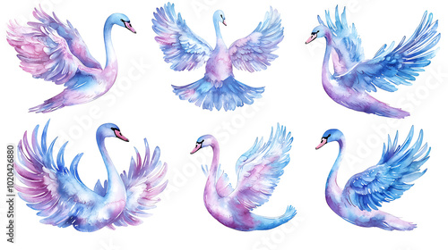 A collection of elegant swans hand-painted in soft watercolor style, showing various poses of the birds on white background photo