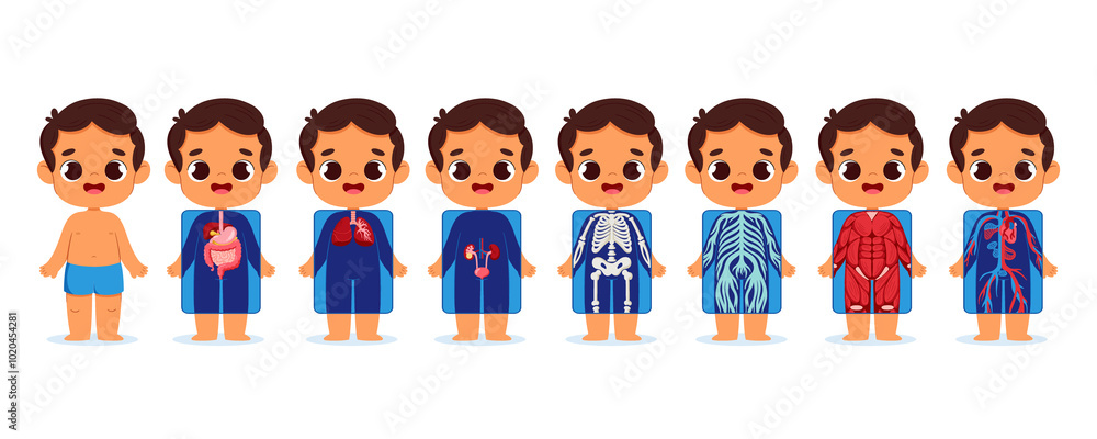 Cartoon Boy Anatomy Illustrations for Education Cartoon Boy Anatomy Illustrations for Education