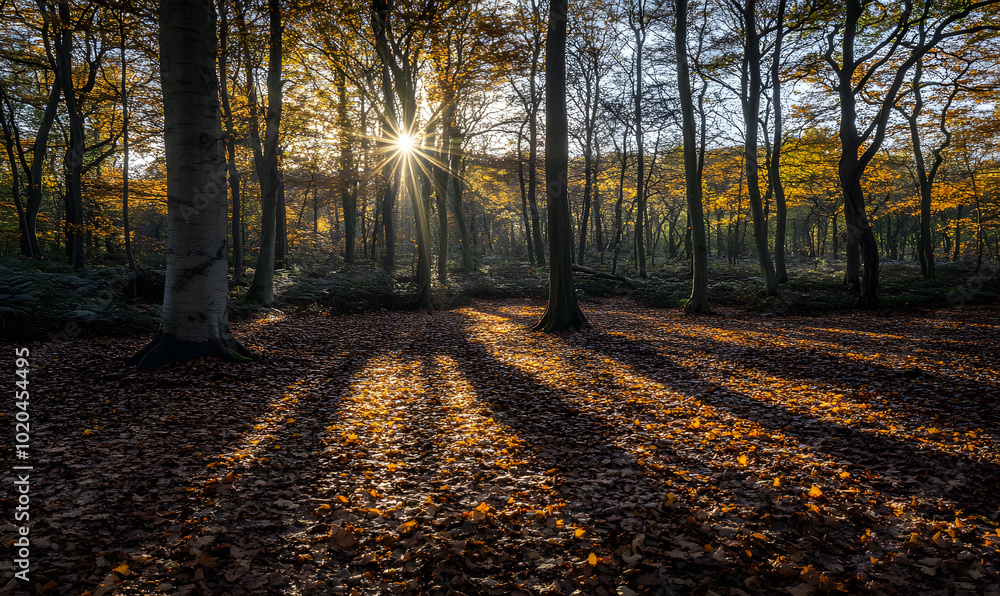 Obraz premium Stunning Nature Landscapes: Mountains, Forests, Oceans, and Serene Vistas.