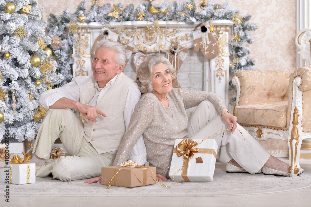 couple old and mature seniors enjoying and having fun together celebrating the new year couple old and mature seniors enjoying and having fun together celebrating the new year