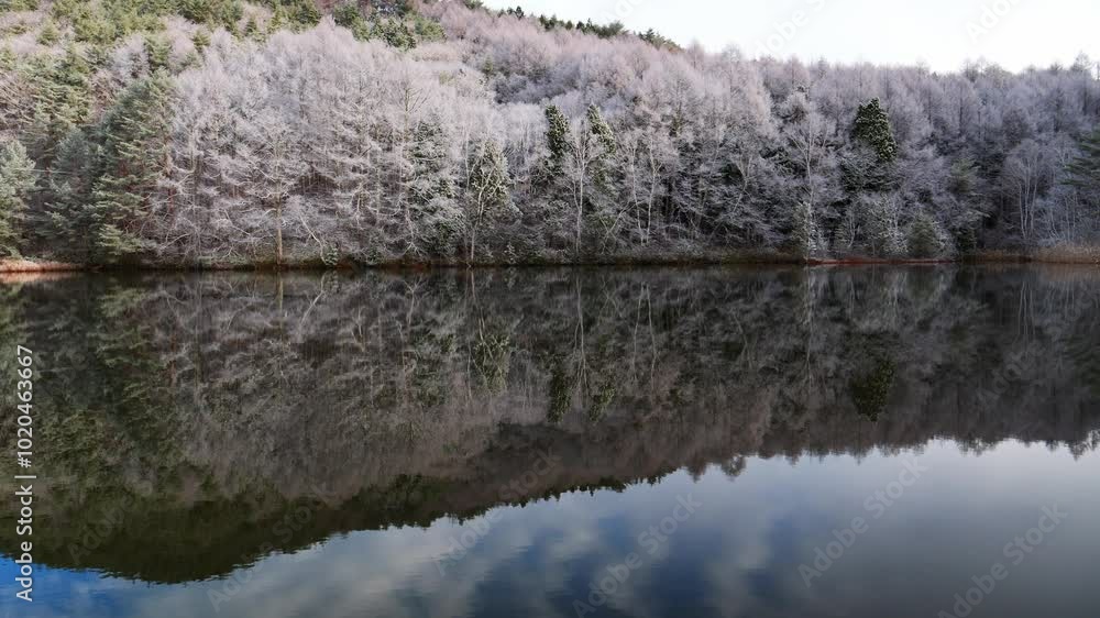 長野・初冬の聖高原06
