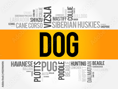 List of most popular dog breeds word cloud collage, animal concept background