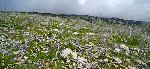 Čvrsnica-Gebirge im Naturpark Blidinje - Bosnien und Herzegowina // Čvrsnica mountain in the Blidinje Nature Park - Bosnia and Herzegovina photo