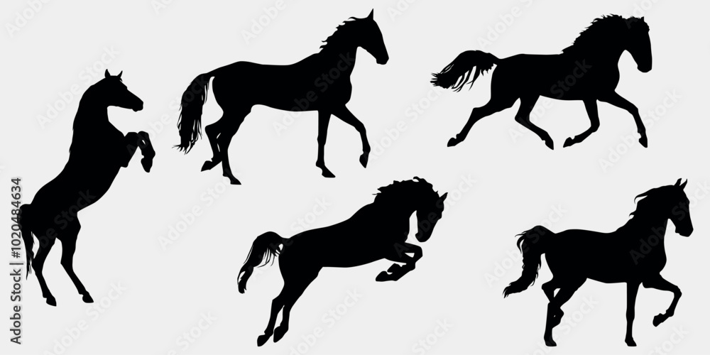Fototapeta premium Horses Silhouettes Set, Collection, EPS 10, Black, Pose, Isolated, Jump, Stand, Run, Animal, Vector