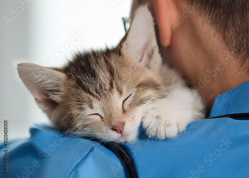 Adventures in Slumber: The Kitten’s Journey