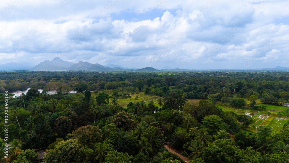Obraz premium Lush greenery of Sri Lanka bathed in soft sunlight. A breathtaking view of Sri Lanka's extensive greenery, with hills in the background and a vibrant landscape under a cloudy sky.