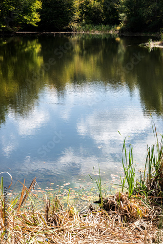 Reflection of blue sky with clouds in forest lake waters with green grass and autumn leaves