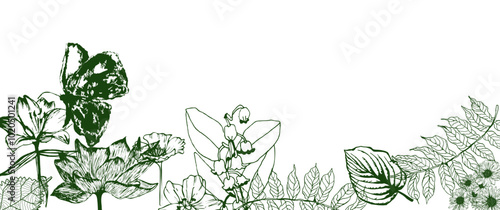 Sfondo con silhouette di  fiori verdi, banner floreale monocolore