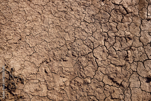 Full frame shot of dry and cracked ground in a desert