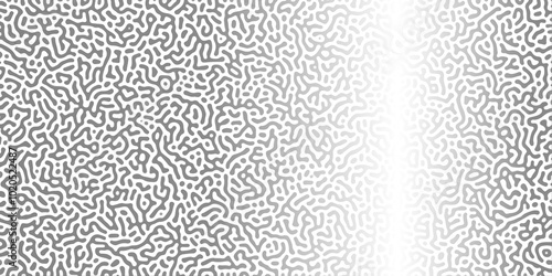 Abstract Reaction-diffusion Turing pattern natural texture gray gradient color scheme. Linear design with biological algorithm psychedelic background. Reaction-diffusion or truing patter
