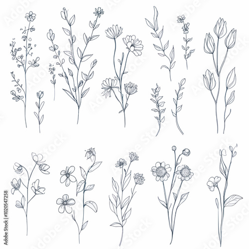 Wildflower Clippings for wedding invitation decoration, certificates, greeting cards