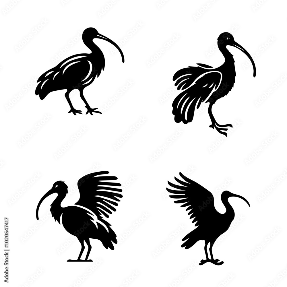 ibis, icon, vector illustration, white background ibis, icon, vector illustration, white background
