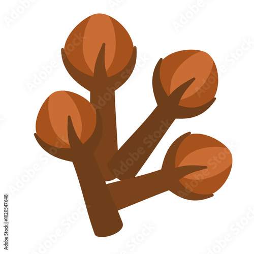 Cloves spices