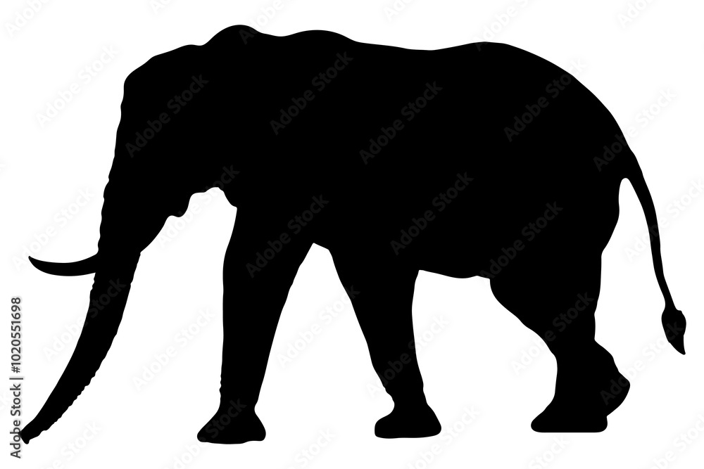 Elephant png silhouette sticker, safari animal illustration clipart, transparent background Elephant png silhouette sticker, safari animal illustration clipart, transparent background