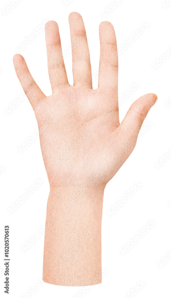 Raised hand png sticker, transparent background Raised hand png sticker, transparent background