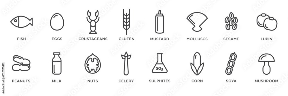 Food allergy icons. Basic allergens and diet line icons vector set. Isolated on white background Food allergy icons. Basic allergens and diet line icons vector set. Isolated on white background
