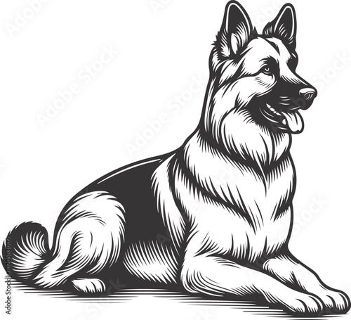 German shepherd dog in different poses on a white background objects silhouette illustration.