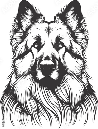 German shepherd dog in different poses on a white background objects silhouette illustration.