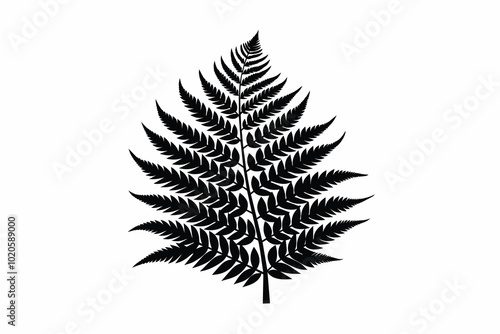 a fern leaf black D.eps