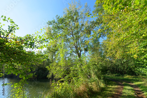 Country path in the Episy ponds. French Gâtinais Regional Nature Park