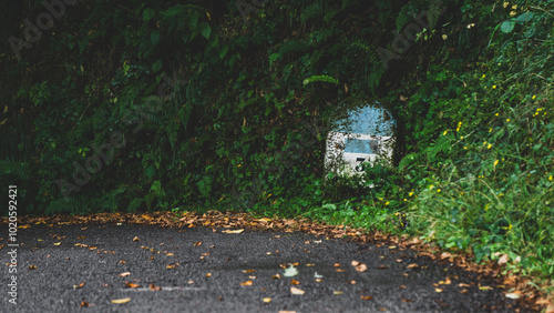 Kilometric point of a mountain road almost abandoned
