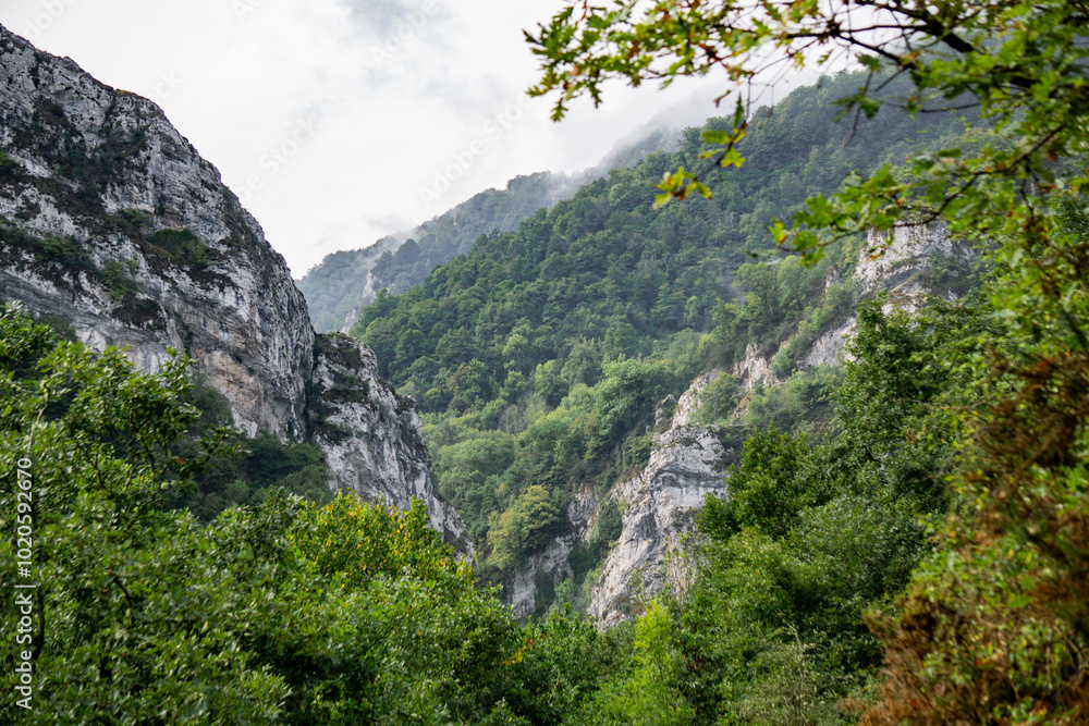 Mountain landscape all covered with green vegetation and a beautiful canyon on it