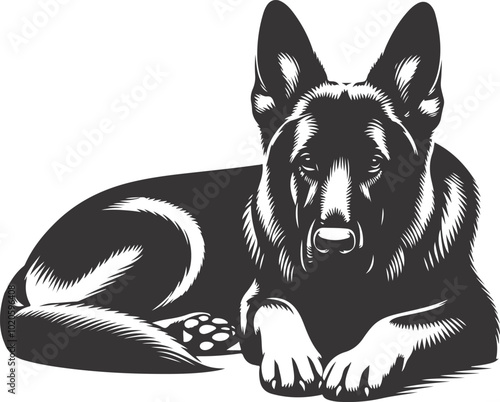 German shepherd dog in different poses on a white background objects silhouette illustration.