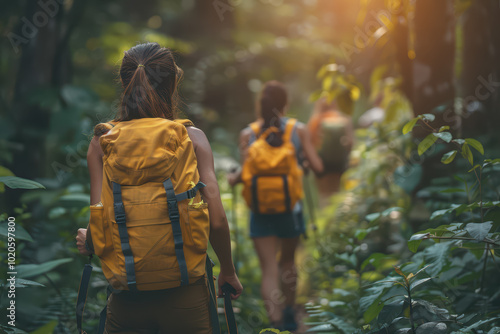 A group of hikers treks along a lush forest path. Explore the wonders of nature in summer.