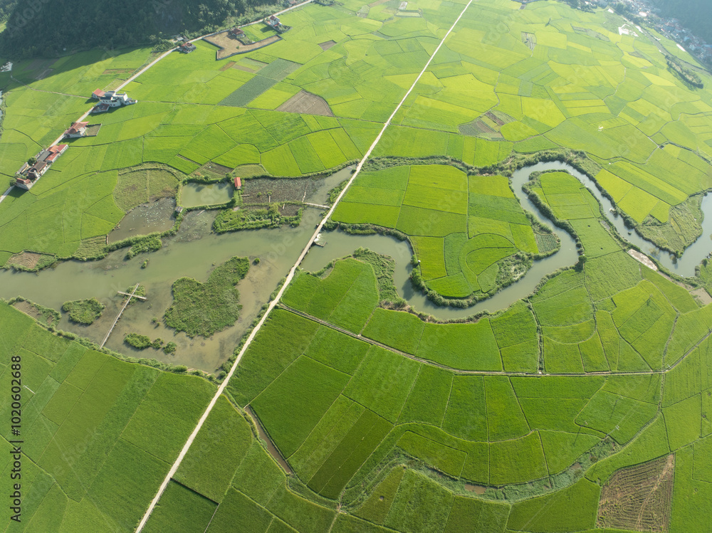 Fototapeta premium Amazing landscape nature view Rice fields and mountains in Bac Son valley, Lang Son,Northern Vietnam, Seen from above, High angle view