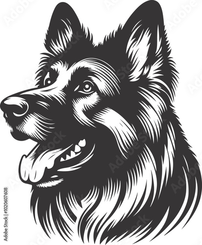 German shepherd dog in different poses on a white background objects silhouette illustration.