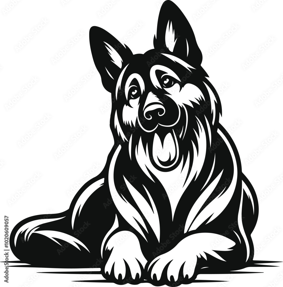 Fototapeta premium black and white dog