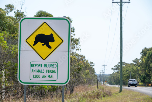 Photography Wildlife rescue road sign, Australia koala, injured animals protection warning h