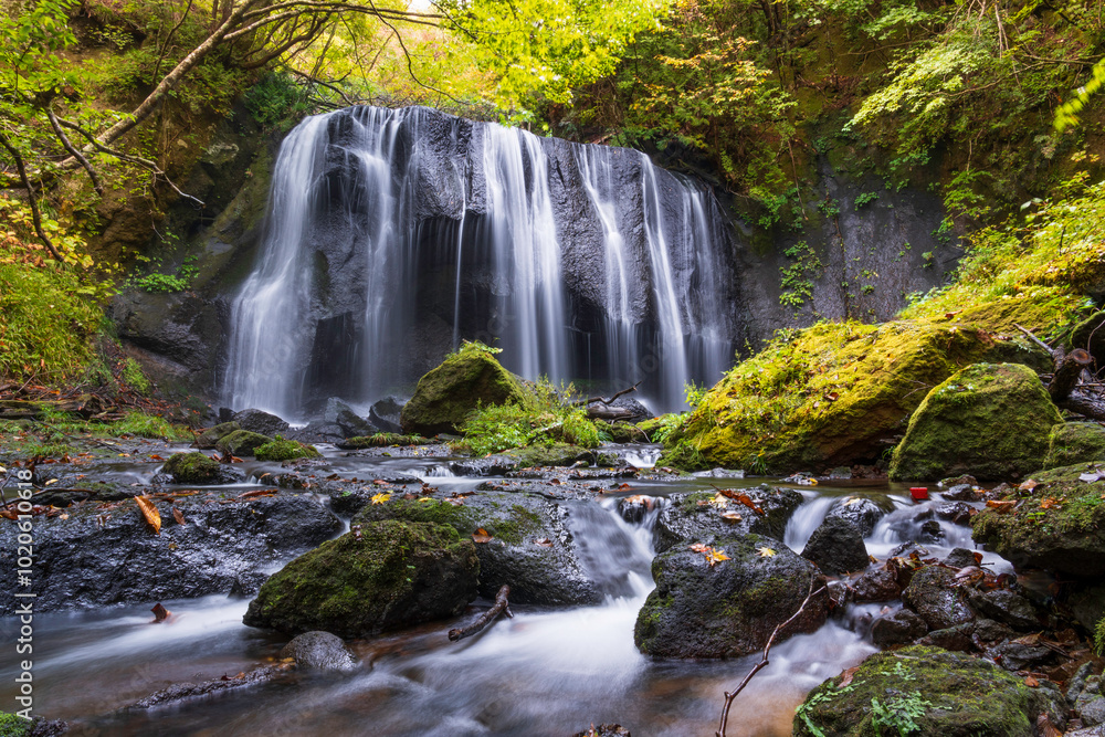 Obraz premium 秋の達沢不動滝