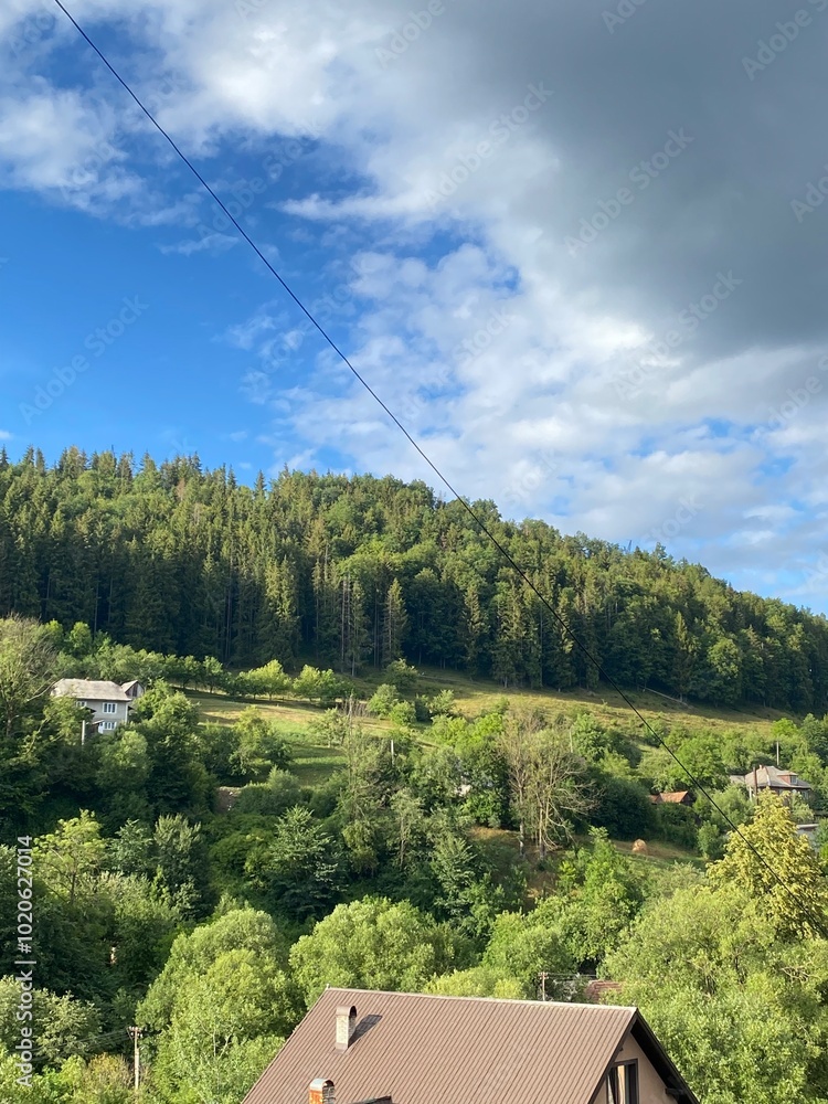 Lush forest located in a charming village, offering a serene escape into nature with abundant greenery and a peaceful atmosphere