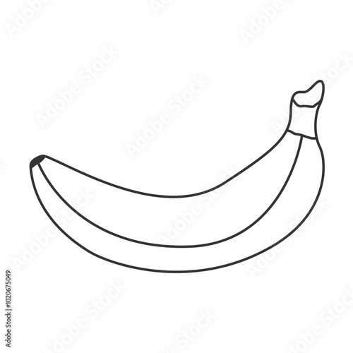 Simple drawing of whole banana icon in peel. Doodle style outlined fruit