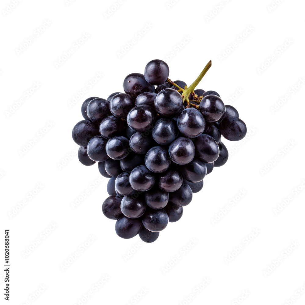 Bunch of Grapes transparent background png Bunch of Grapes transparent background png