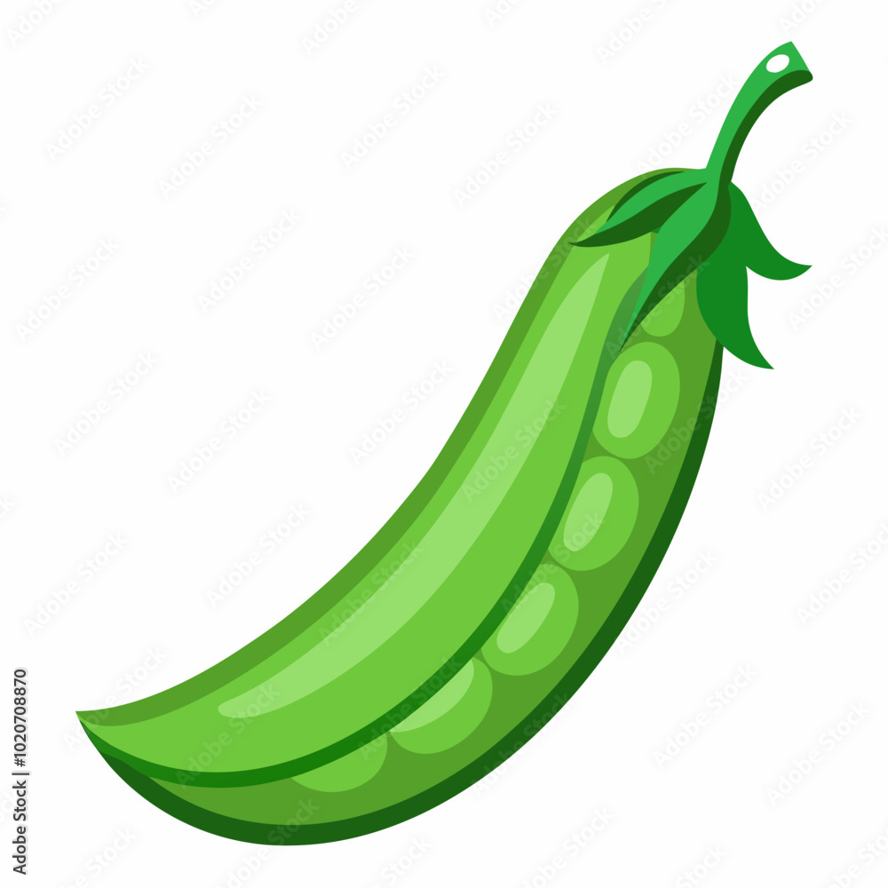 green bean vector illustration green bean vector illustration