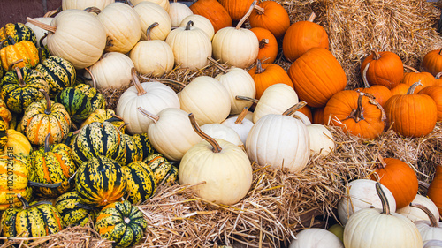 A trio of Polar Bear, Sweet Dumpling, and Howden pumpkins on straw.