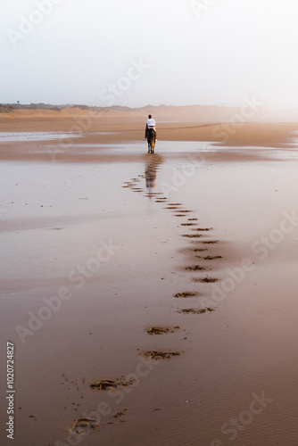 balade à cheval sur la plage