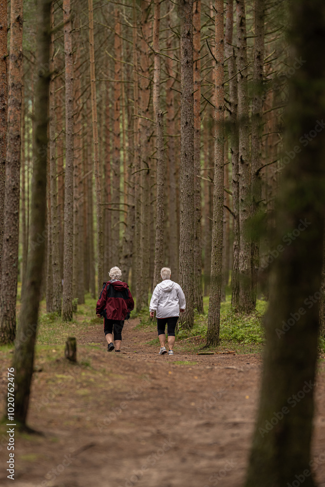 Fototapeta premium Two elderly women walking on a path between tall trees.