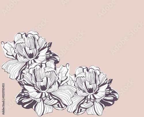 vintage line drawn flowers. old fashioned postcard. peony flower. iris flower. retro style.