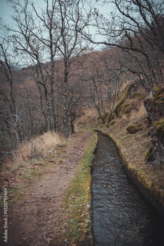 el bosque encantado