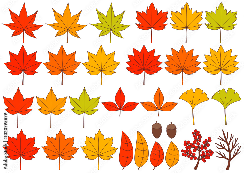 紅葉をイメージした落ち葉や木の実のイラストのセット_主線あり
紅葉をイメージした落ち葉や木の実のイラストのセット_主線あり